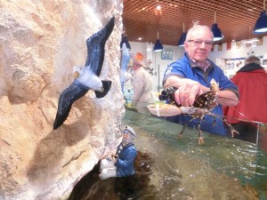 11311672_1092063474152081_904358975_n