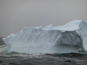 11655135_1116584871699941_375075285_n