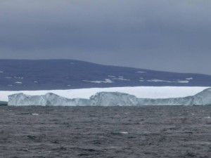 11693160_1116584655033296_365834194_n